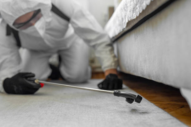 Professional Emergency Pest Control technician working in Douglass Hills, KY