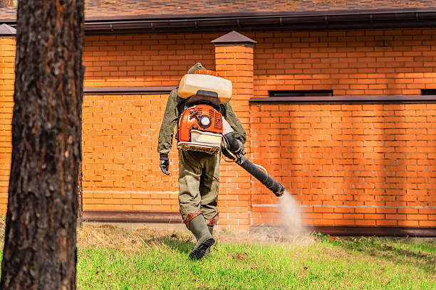 Trusted Rodent Control service in Douglass Hills, KY - Nex Pest Control